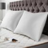 Oreillers de luxe BedStory 60x60 cm