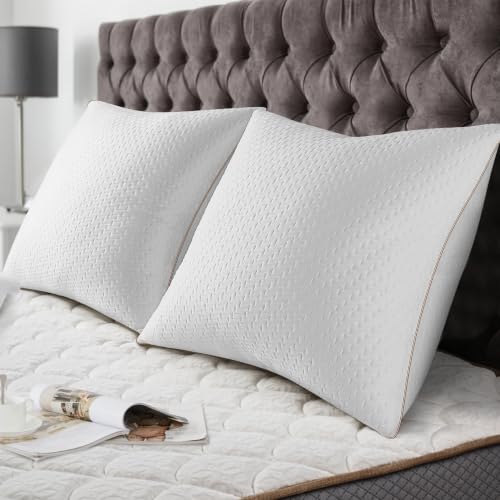 Oreillers de luxe BedStory 60x60 cm Oreillers de luxe BedStory 60x60 cm