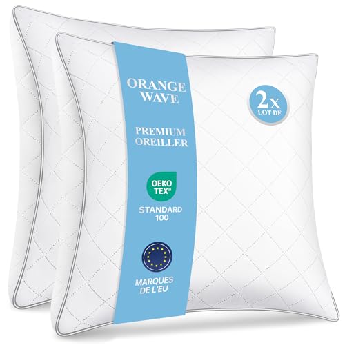 Oreillers Orange Wave 60x60 Lot de 2 Oreillers Orange Wave 60x60 Lot de 2