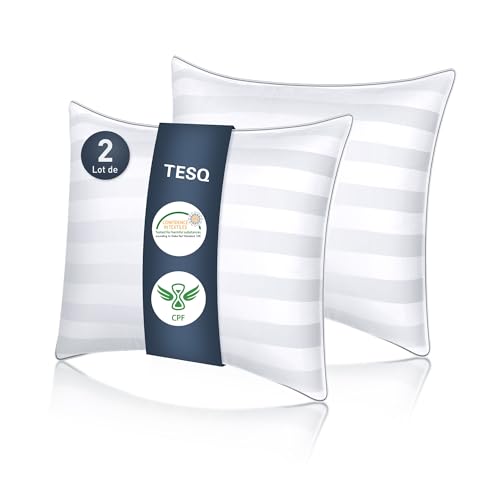 Oreillers TESQ 60x60 cm Luxe Hôtelier Oreillers TESQ 60x60 cm Luxe Hôtelier