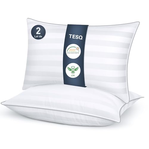 Oreillers TESQ Confort 50x70 cm Oreillers TESQ Confort 50x70 cm