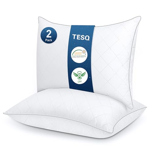 Oreillers TESQ Lot de 2, Confort Luxe Oreillers TESQ Lot de 2, Confort Luxe