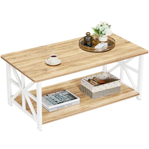 Table Basse Moderne avec Rangement