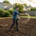 Personne semant des graines de gazon a la main sur un sol prepare dans un jardin