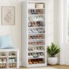 Meuble à Chaussures Élégant et Pratique
