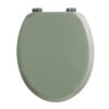 Abattant WC Douceur d'Intérieur Sauge Abattant WC Douceur d'Intérieur Sauge