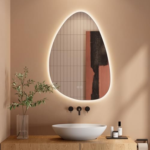 Miroir de Salle de Bain LED 80 x 55 cm