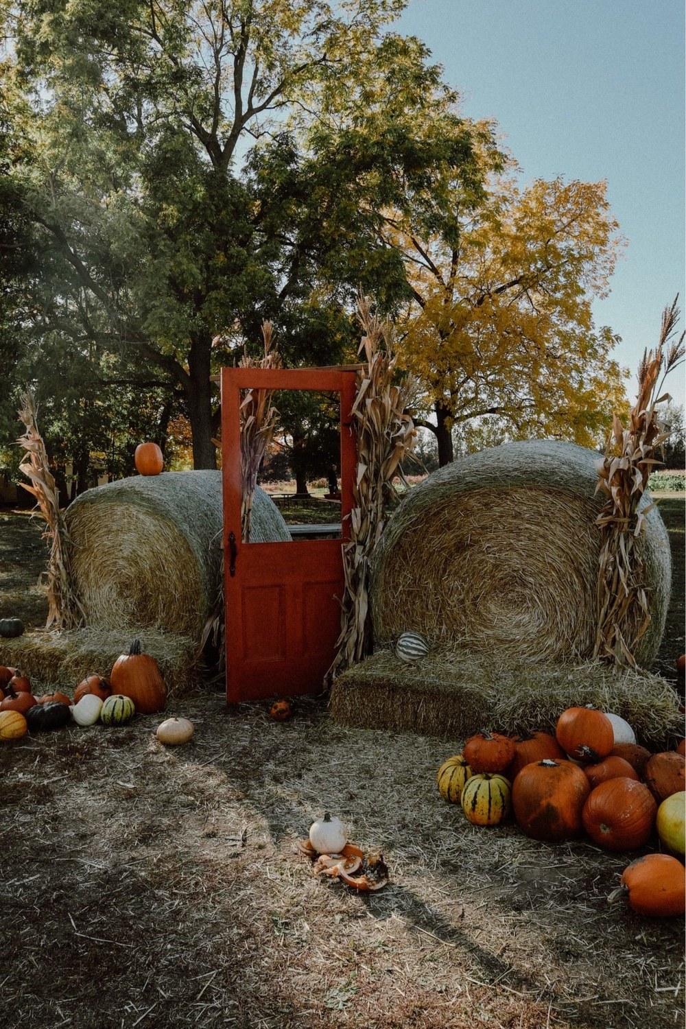 Bottes de paille, maïs sec et citrouilles disposés en scène d'automne dans un jardin