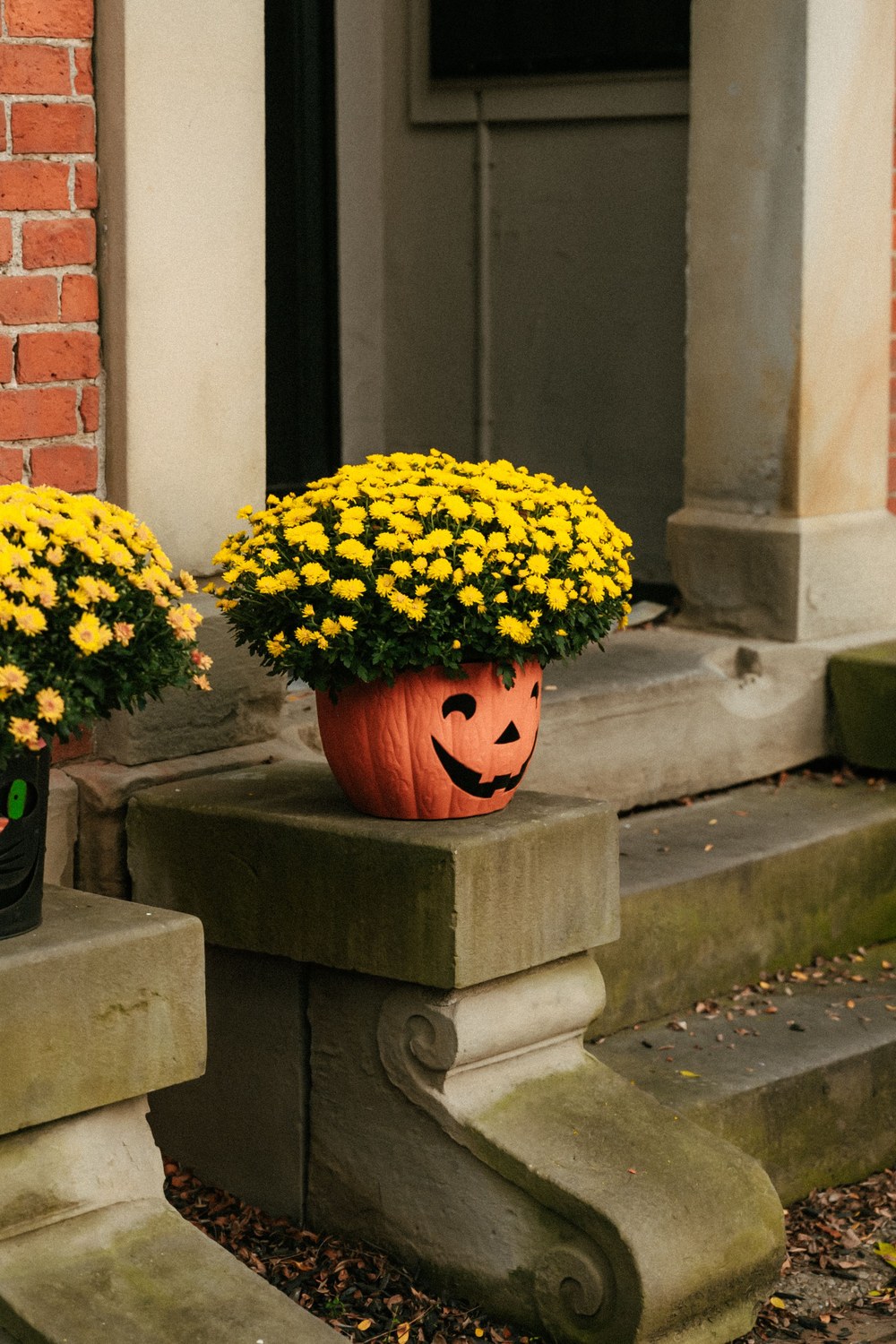 Pot de chrysanthèmes jaunes sur une citrouille sculptée posée sur les marches d'une entrée