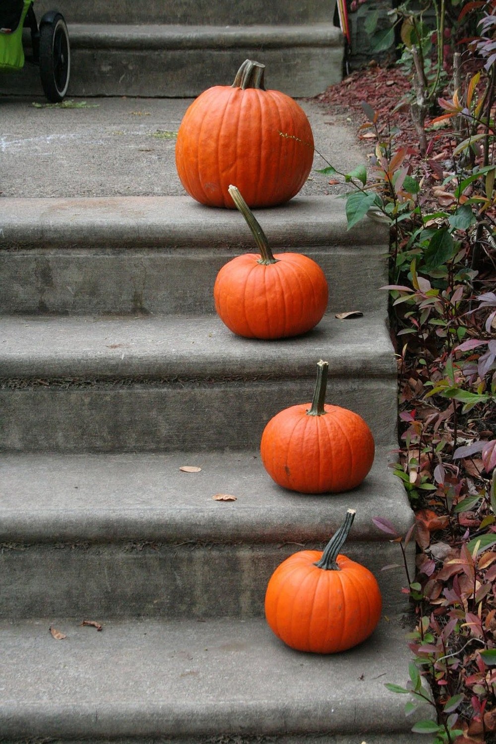 Citrouilles orange de tailles décroissantes posées sur les marches en béton d'un perron