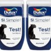 Dulux Valentine Peinture Si Simple 30 ml Dulux Valentine Peinture Si Simple 30 ml