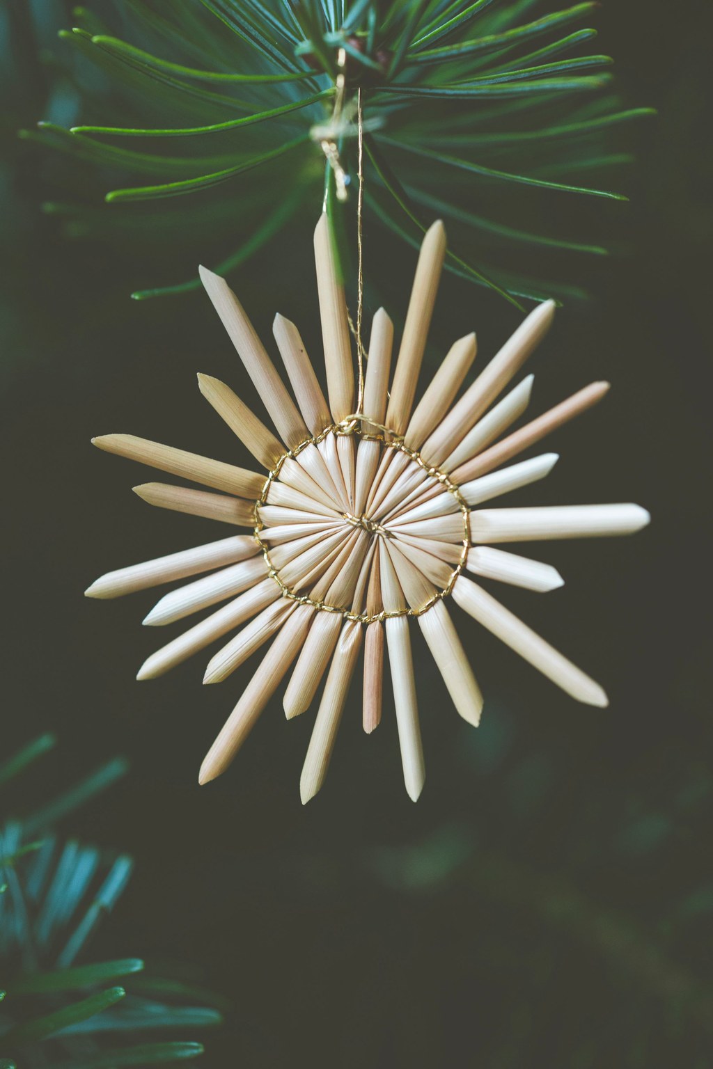 Étoile en paille scandinave Étoile en paille artisanale accrochée à une branche de sapin