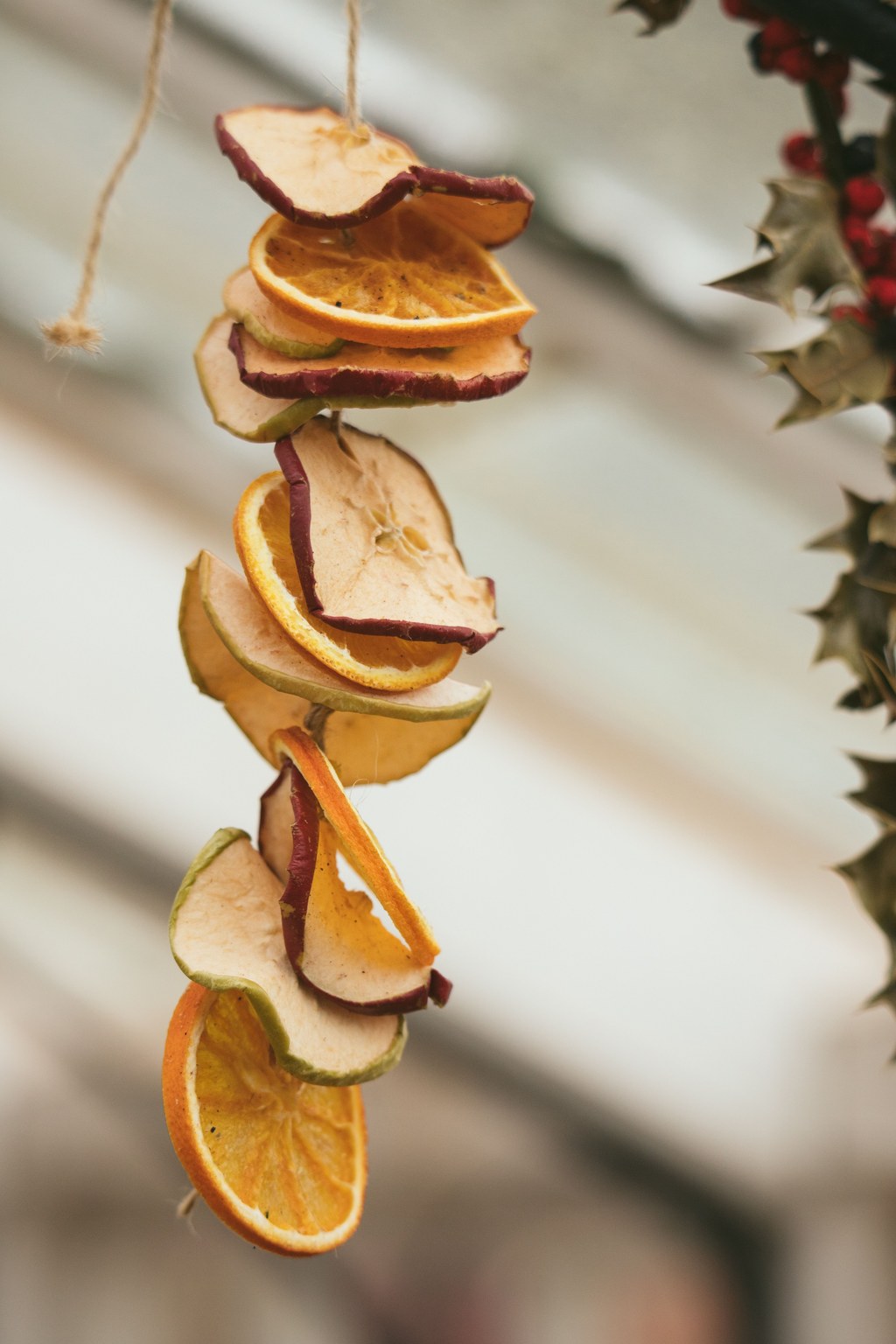 Guirlande de fruits séchés Guirlande de rondelles d'orange et de pomme séchées suspendue à un fil