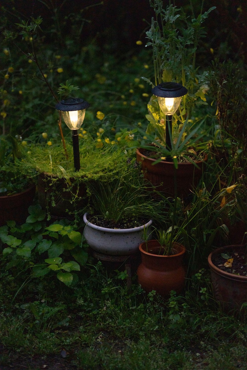 Deux lampes solaires de jardin allumées parmi des plantes en pots à la tombée de la nuit