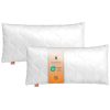 Lot de 2 Oreillers Hypoallergéniques 50x75 cm Lot de 2 Oreillers Hypoallergéniques 50x75 cm