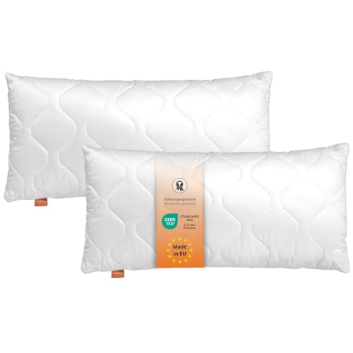 Lot de 2 Oreillers Hypoallergéniques 50x75 cm
