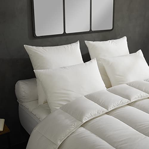 Lot de 2 Oreillers Micro Douceur DODO