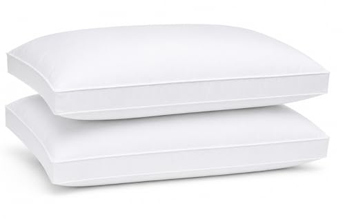 Lot de 2 Oreillers Moelleux 50x70 cm