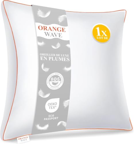 Oreiller Plume 60x60 en Duvet Premium