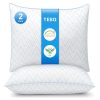 Oreillers rafraîchissants TESQ 65x65 cm - Lot de 2 Oreillers rafraîchissants TESQ 65x65 cm - Lot de 2