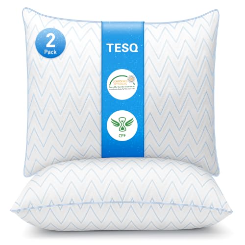 Oreillers rafraîchissants TESQ 65x65 cm - Lot de 2