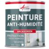 Peinture Anti Humidité pour Murs Intérieurs Peinture Anti Humidité pour Murs Intérieurs