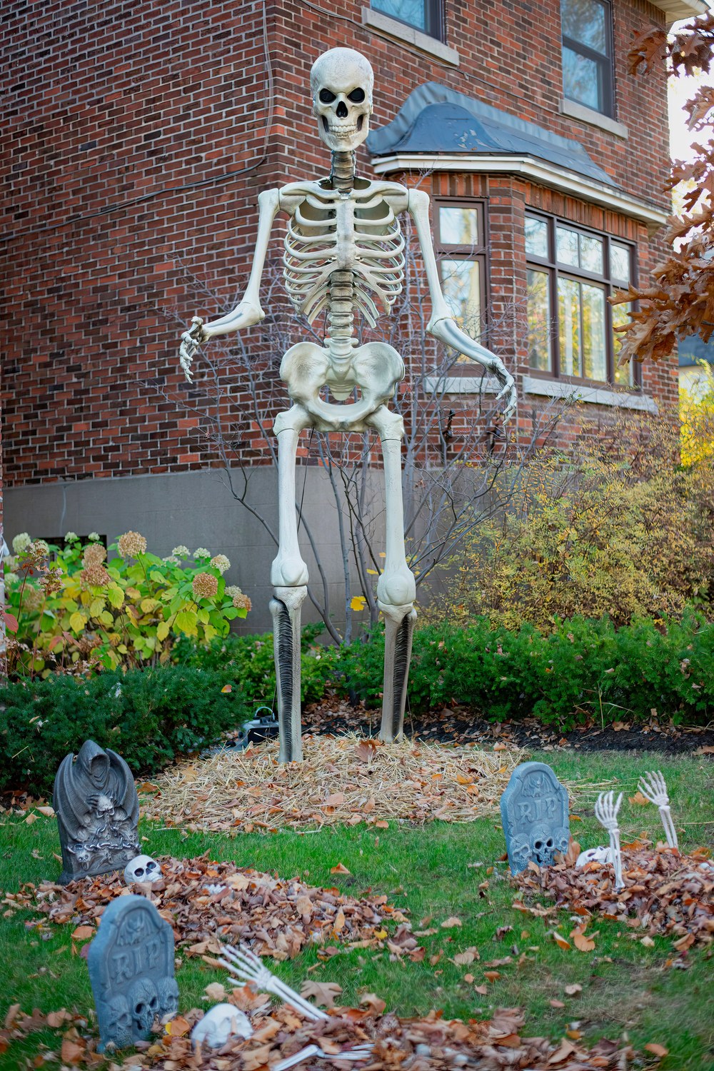 Grand squelette debout dans un jardin parmi des pierres tombales décoratives et des feuilles mortes